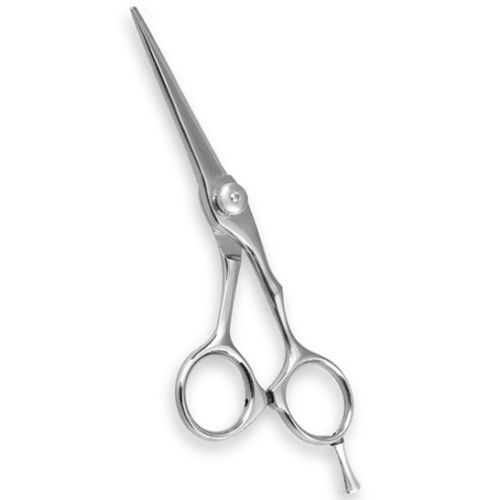 Professional Hair Cutting Scissors